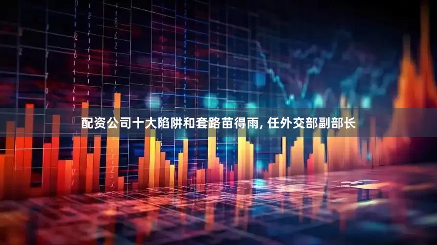配资公司十大陷阱和套路苗得雨, 任外交部副部长