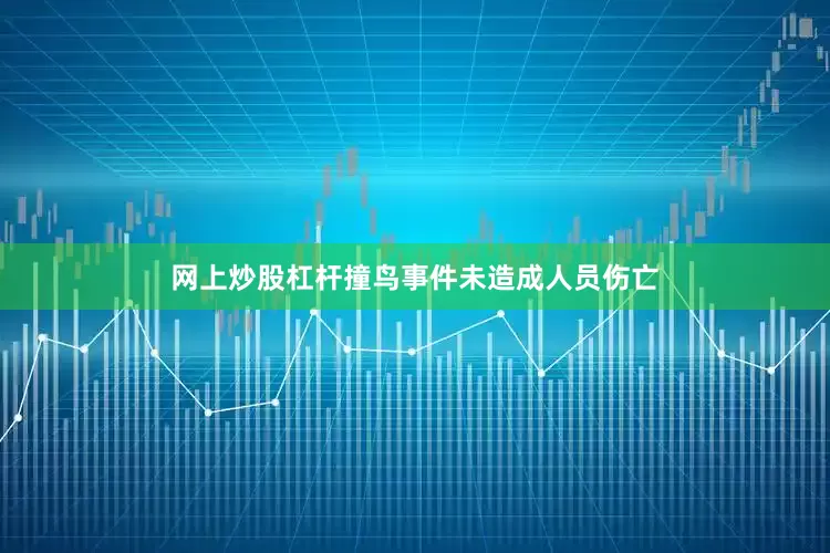 网上炒股杠杆撞鸟事件未造成人员伤亡
