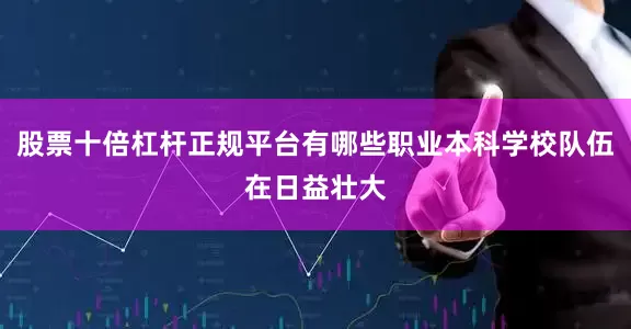 股票十倍杠杆正规平台有哪些职业本科学校队伍在日益壮大