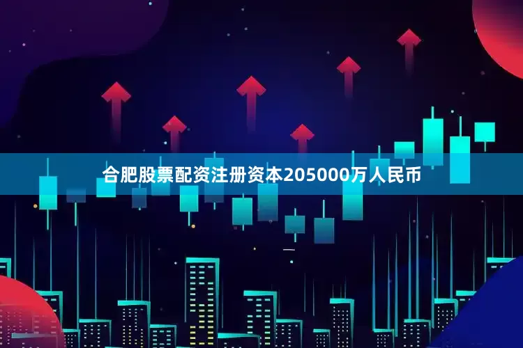 合肥股票配资注册资本205000万人民币