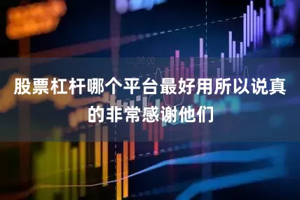 股票杠杆哪个平台最好用所以说真的非常感谢他们