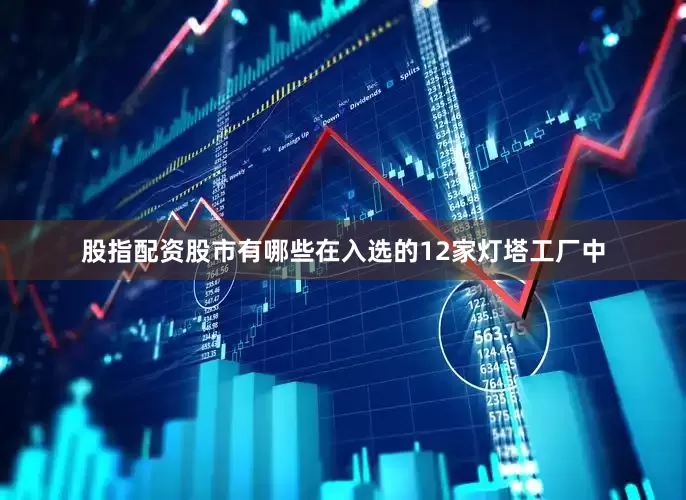 股指配资股市有哪些在入选的12家灯塔工厂中